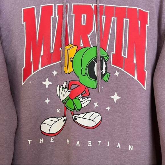 Looney Tunes Marvin the Martian Men's Mineral Washed Graphic Hoodie Size Medium - Picture 2 of 6